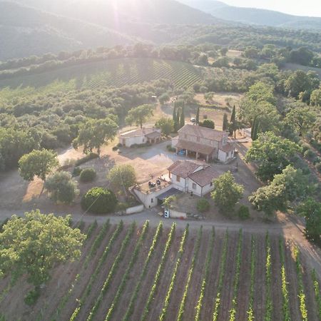 Agriturismo Belvedere Di Pierini E Brugi Campagnatico Εξωτερικό φωτογραφία