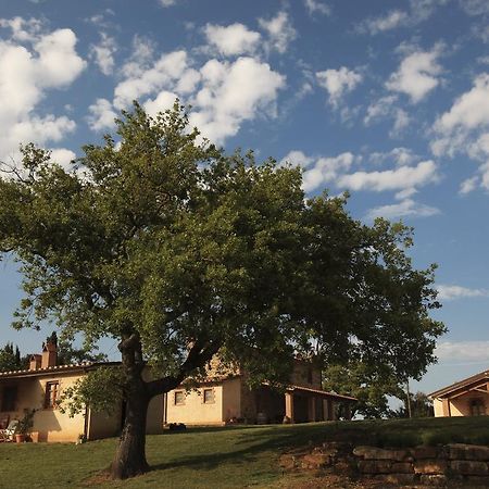 Agriturismo Belvedere Di Pierini E Brugi Campagnatico Εξωτερικό φωτογραφία