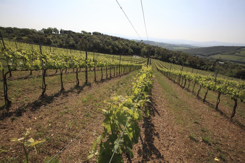 Agriturismo Belvedere Di Pierini E Brugi Campagnatico Εξωτερικό φωτογραφία