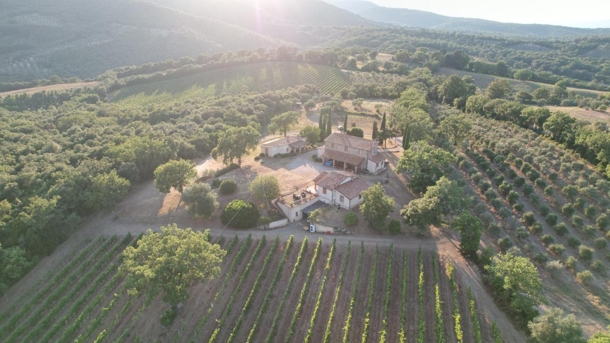 Agriturismo Belvedere Di Pierini E Brugi Campagnatico Εξωτερικό φωτογραφία