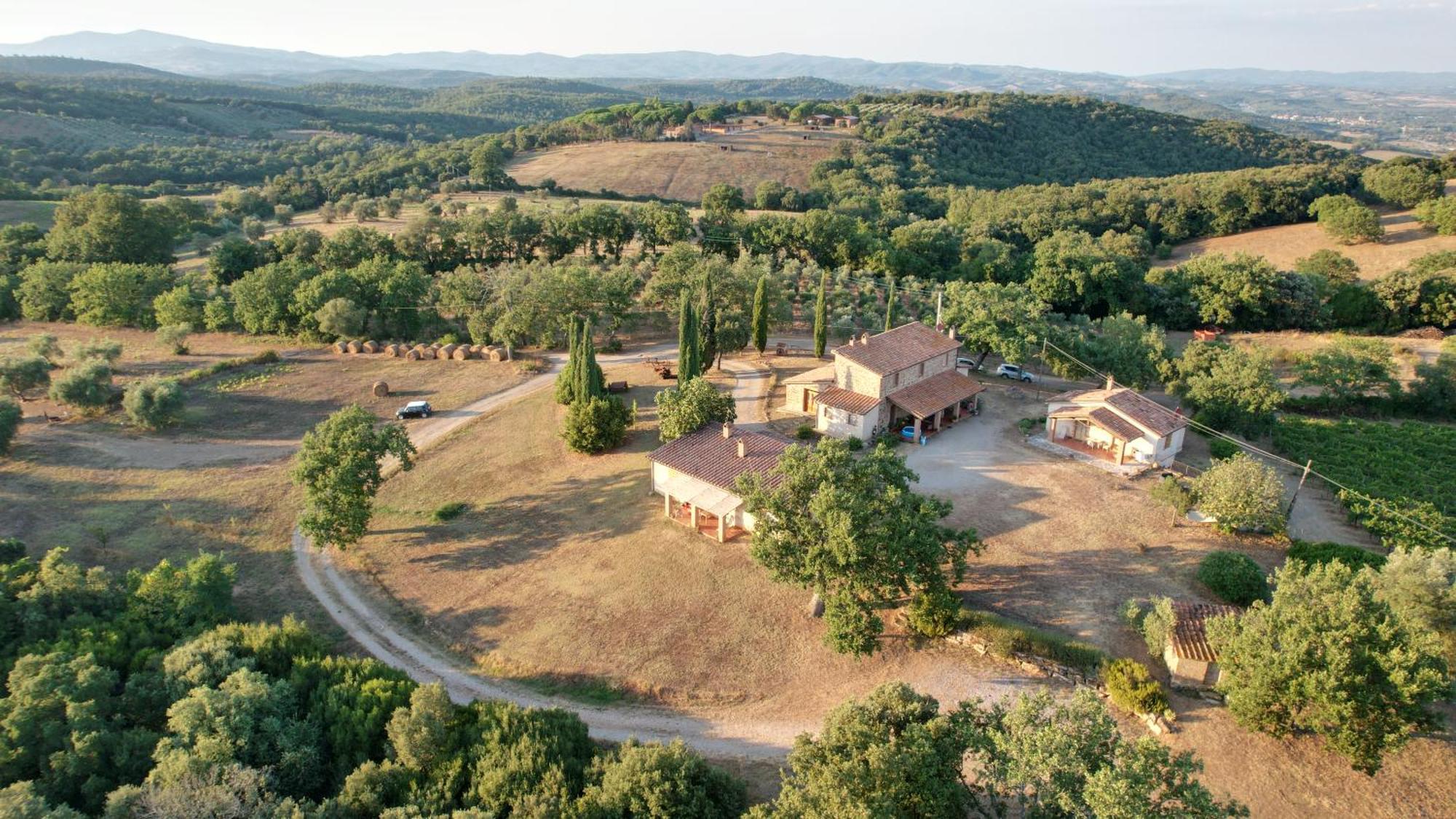 Agriturismo Belvedere Di Pierini E Brugi Campagnatico Εξωτερικό φωτογραφία