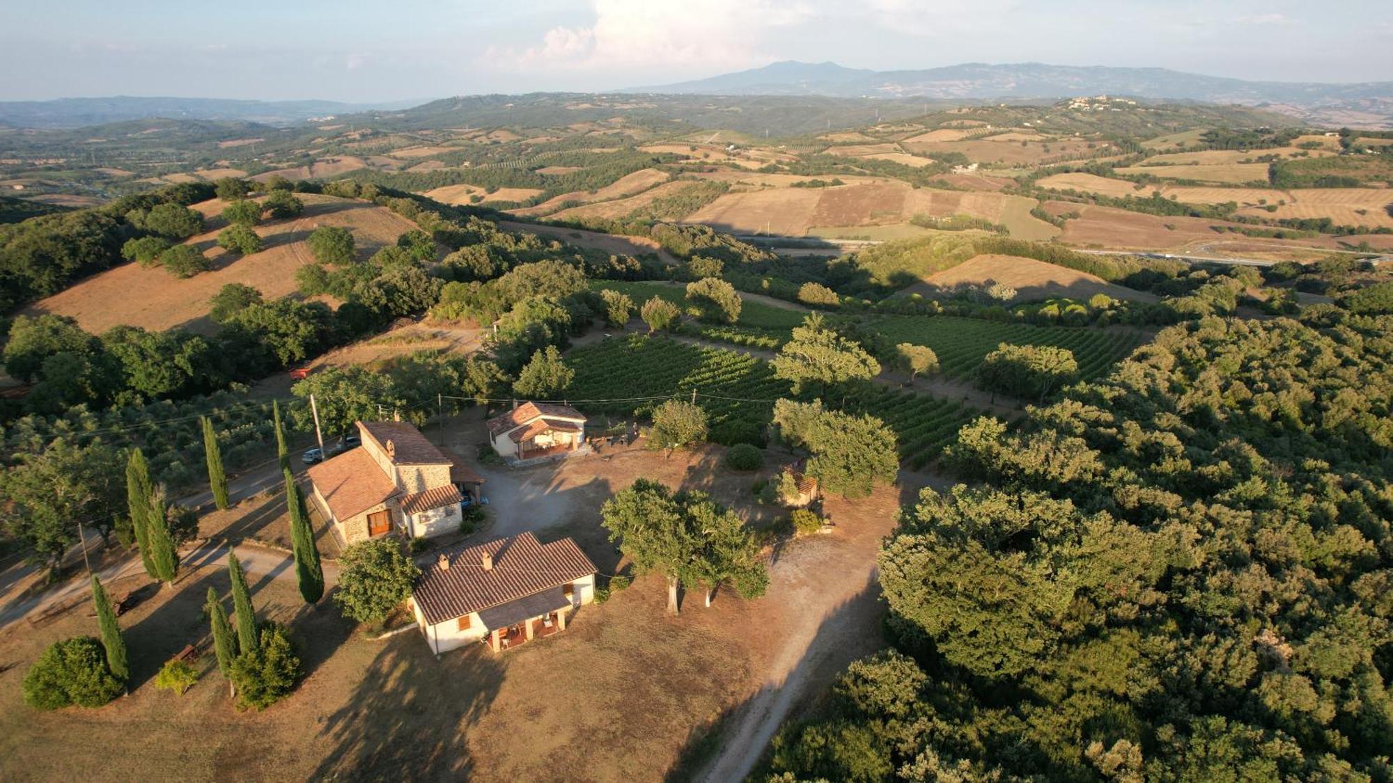 Agriturismo Belvedere Di Pierini E Brugi Campagnatico Εξωτερικό φωτογραφία