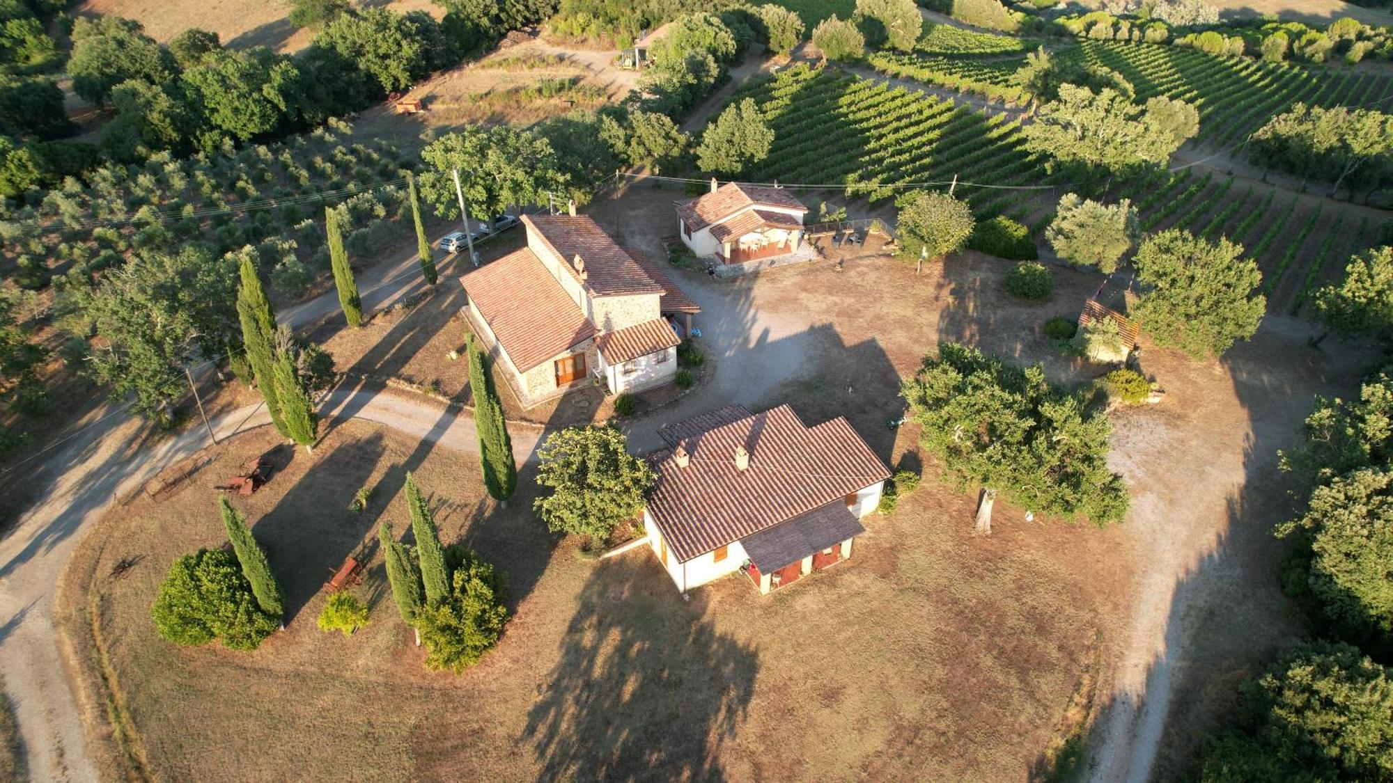 Agriturismo Belvedere Di Pierini E Brugi Campagnatico Εξωτερικό φωτογραφία