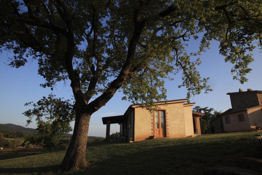 Agriturismo Belvedere Di Pierini E Brugi Campagnatico Δωμάτιο φωτογραφία