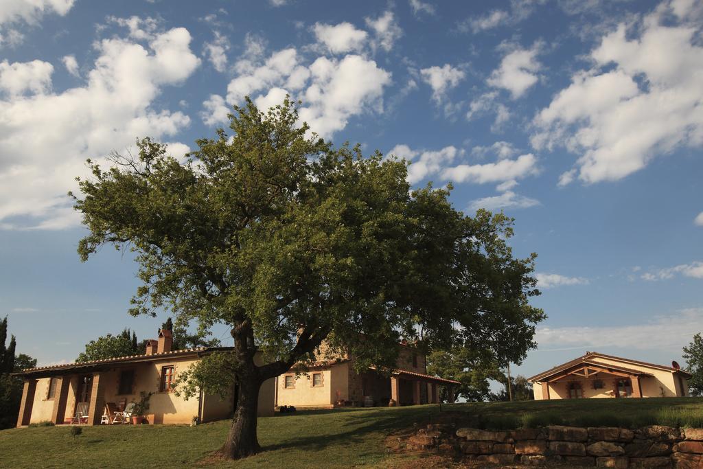 Agriturismo Belvedere Di Pierini E Brugi Campagnatico Εξωτερικό φωτογραφία