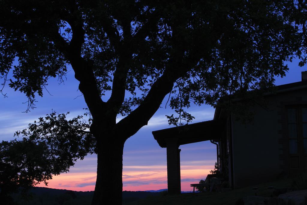 Agriturismo Belvedere Di Pierini E Brugi Campagnatico Δωμάτιο φωτογραφία