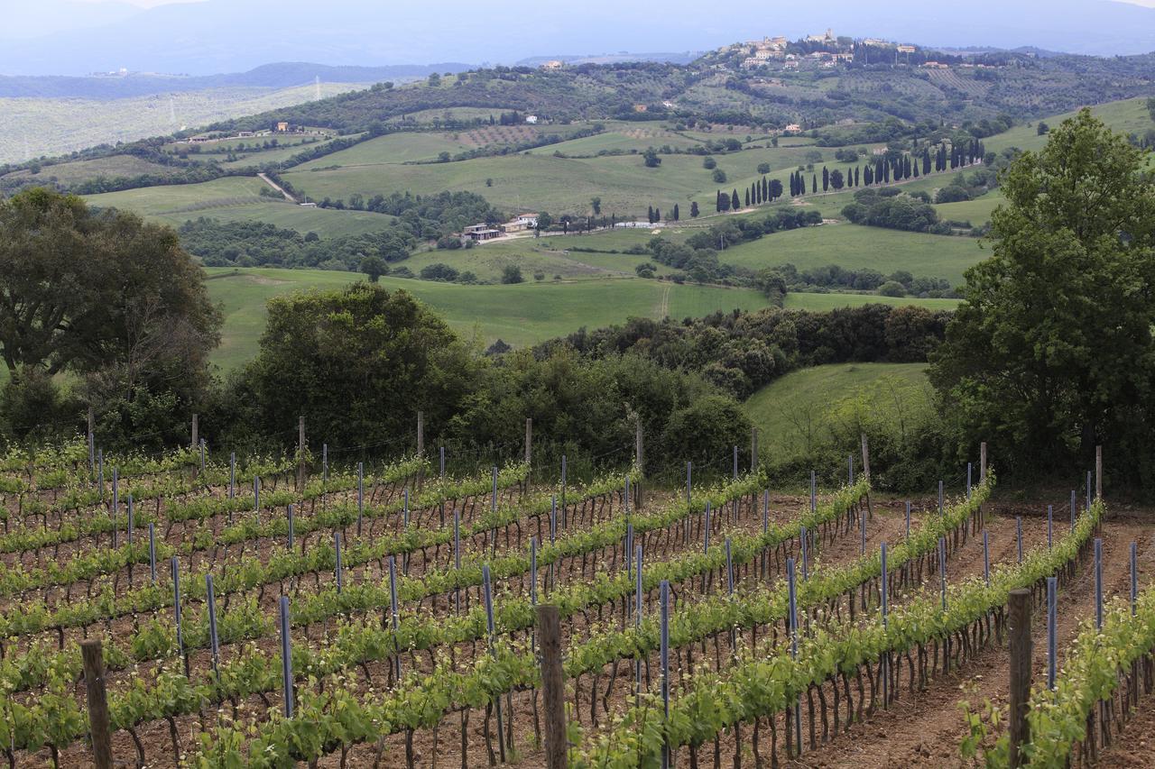 Agriturismo Belvedere Di Pierini E Brugi Campagnatico Εξωτερικό φωτογραφία