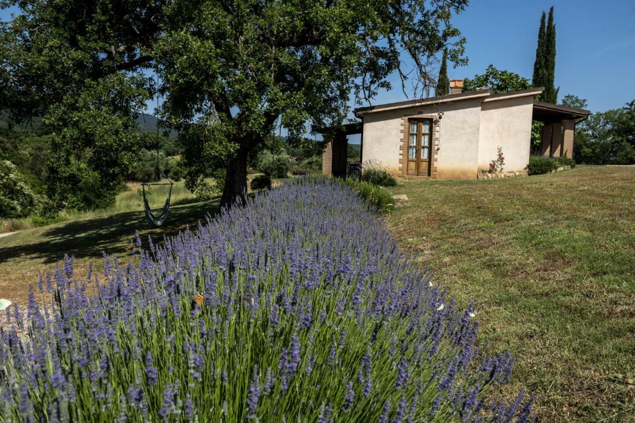 Agriturismo Belvedere Di Pierini E Brugi Campagnatico Εξωτερικό φωτογραφία