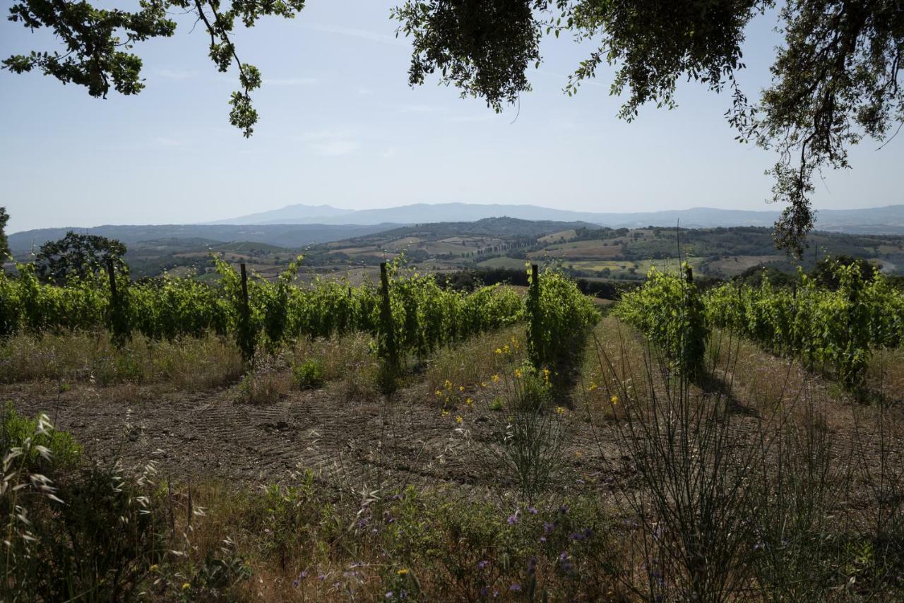 Agriturismo Belvedere Di Pierini E Brugi Campagnatico Εξωτερικό φωτογραφία